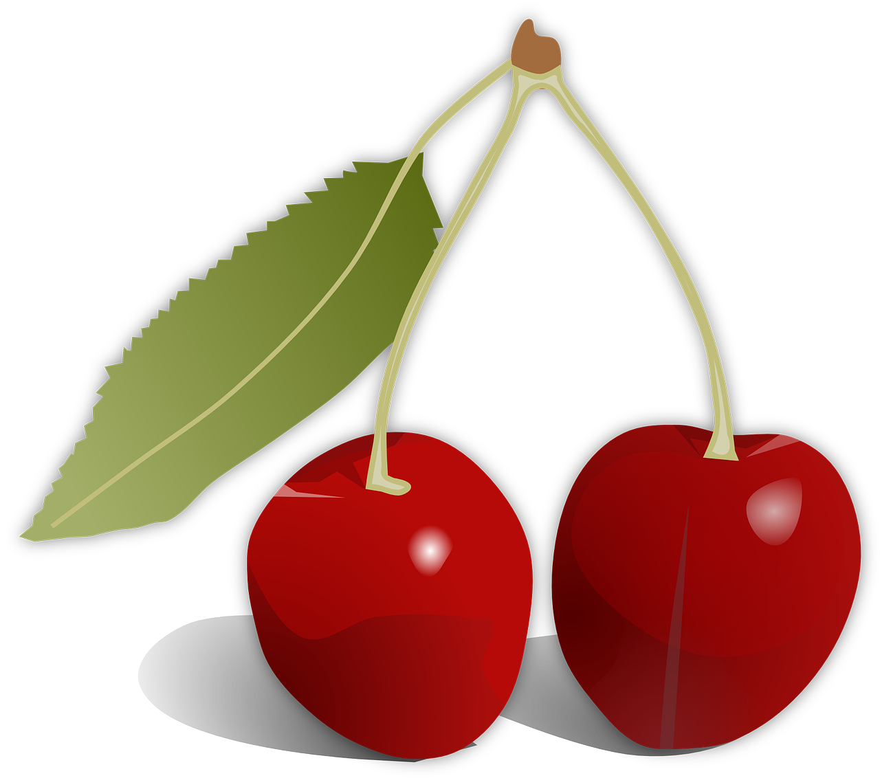 ANIBI